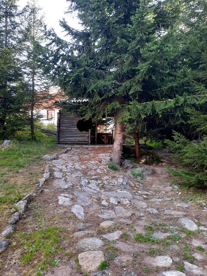 Луксозен апартамент в комплекс Маунтин Лейк , Смолянски Езера - Apartment with 1-bedroom, Smolyan Lakes Екстер'єр фото